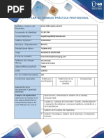 Anexo 1 Formato Plan de Trabajo Practica Profesional