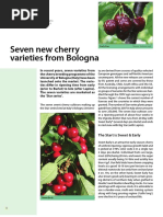 Seven New Cherry Varieties From Bologna