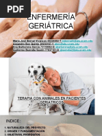 Terapia Con Animales