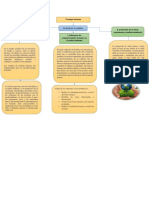 Mapa Conceptual de Video Ecologia Humana. KG