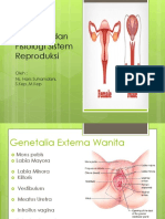 Anatomi Dan Fisiologi Sistem Reproduksi