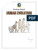 Human Evolution ZOOLOGY PROJECT