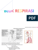 Rangkuman BLOK RESPIRASI