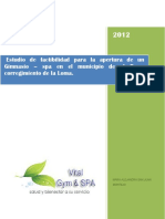 Estudio de Factibilidad para La Apertura de Un Gimnasio Bueno PDF