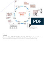 Biosintesis de La Leche