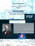 Neuronas PPTM