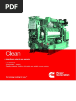 Lean Burn Product Brochure