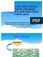 Sistematika Penyusunan Buku Profil Promkes 2019