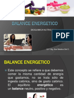 Balance Energetico