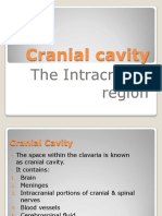 Cranial Cavity 1 PDF