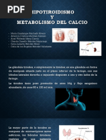 Hipotiroidismo y Metabolismo Del Calcio