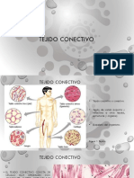 Tejido Conectivo PDF