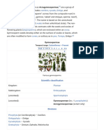 Gymnosperm PDF