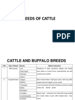 Cattle BREEDS