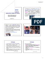 Cheratocono Fatto Bene PDF