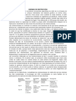 Enzimas de Restricción PDF