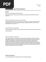 Experiment 5B Types of Chemical Reactions