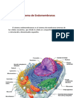 011 Sistema de Endomembranas y Organelos PDF