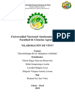 Informe de Vino de Uva Grupo 1234567 PDF