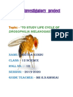 Biology Cls 12 Project