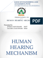 Human Hearing Mechanism