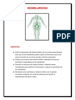 Sistema Linfático Documento