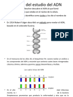 Historia Del ADN