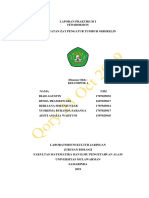 Giberelin Laporan