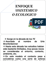 Enfoque Ecosistemico