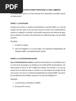 Cuantos Atp y Cuantos Nadph Sintetizan La Fase Luminosa