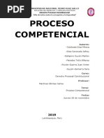 Proceso Competencial