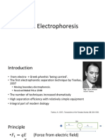 Gel Electrophoresis