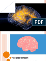 Material Neuroeducación-1 PDF