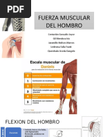 Fuerza-Muscular-Del-Hombro 1