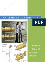 Guillain Barre Syndrome