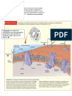 Biofisica, Profesorado de Biología