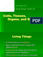 Cells Tissues Organs and Systems Power Point