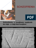 Schizofrenia - Rezumat