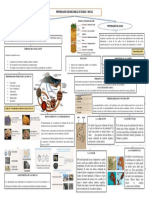 Propiedades Geomecanicas de Suelo y Roca