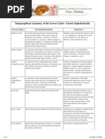 Topographical Anatomy of The Lower Limb - Listed Alphabetically