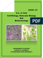 Bscbo 301 PDF