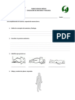 Examen 1 Anatomia