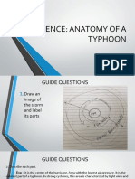 Anatomy of A Typhoon