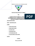 Informe de Silvi Tropical - Discusiones