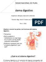 Sistema Digestivo PDF