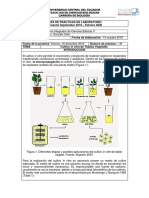 P9 - LI5 - Cultivo in Vitro Tejidos Vegetales