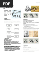 Evolución ADE Separata