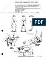 Checklist For Physical Examination of Knee