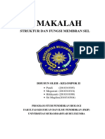 Makalah Membran Plasma