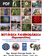 Botanica Fanerogamica